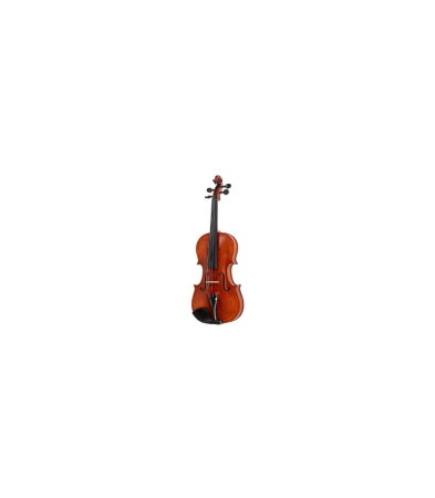Magazin - Stentor SR1875 Violin Elysia 4/4