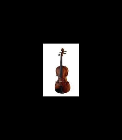 Magazin - Vioară Stentor SR1864 Verona Violin 4/4 - Stentor