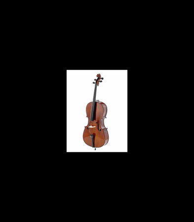 Violoncel - Violoncel Stentor SR1108 Cello Student II 3/4 - Stentor
