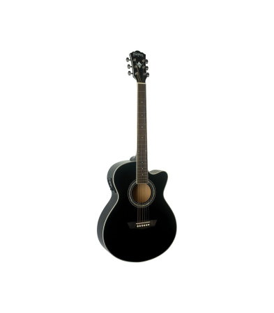 Chitare si bass - Washburn EA12 B-A-U